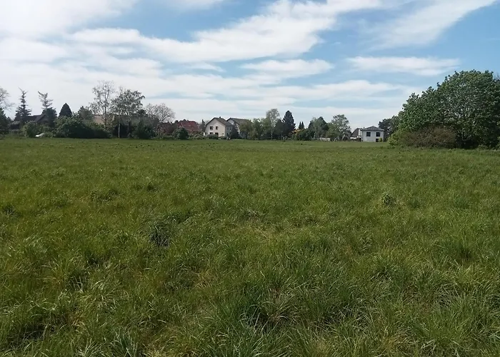 Stadtgruen 1